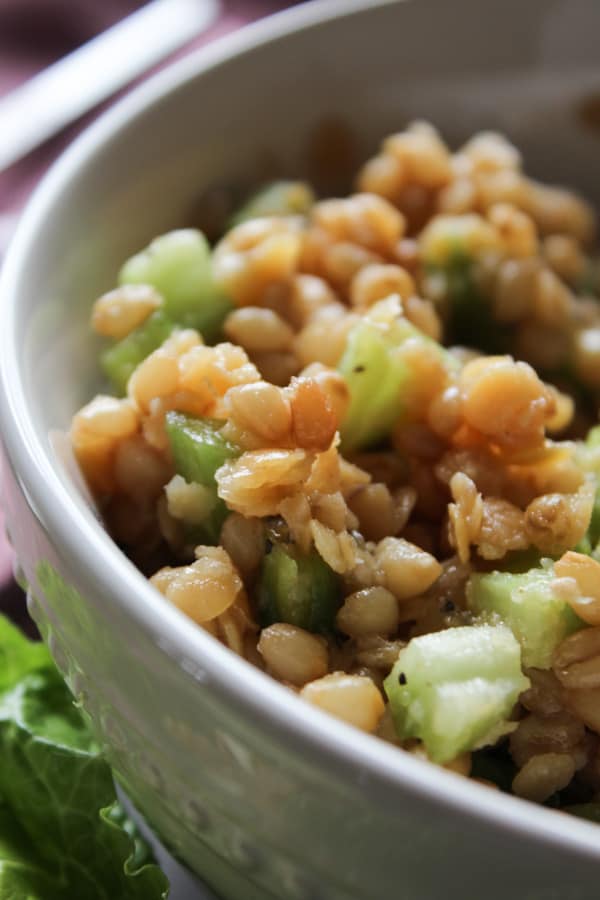 Red Lentil Wheat Berry Salad