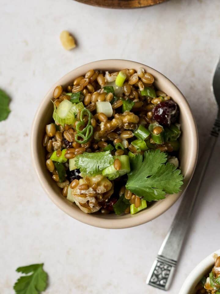 A small bowl of wheat berry salad with feta and cranberries.