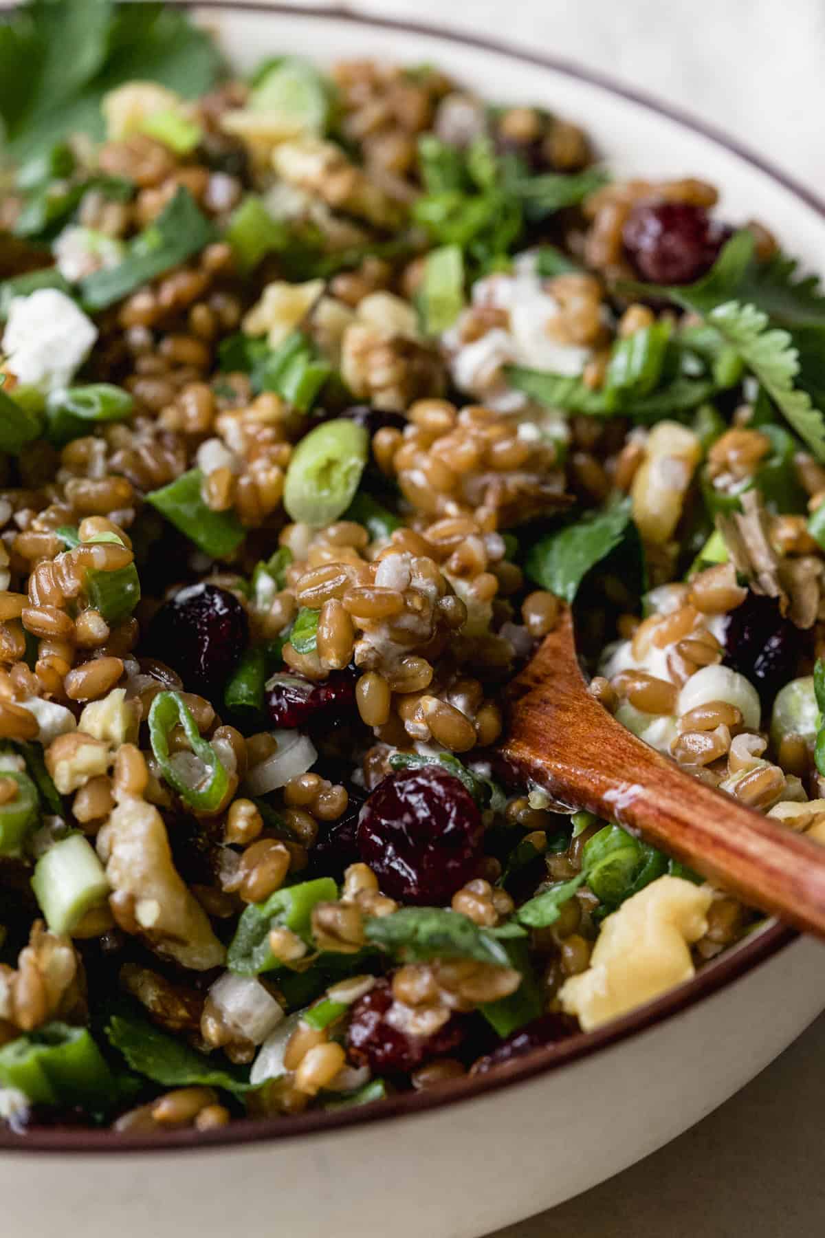 Wheat berry salad with wooden spoon.