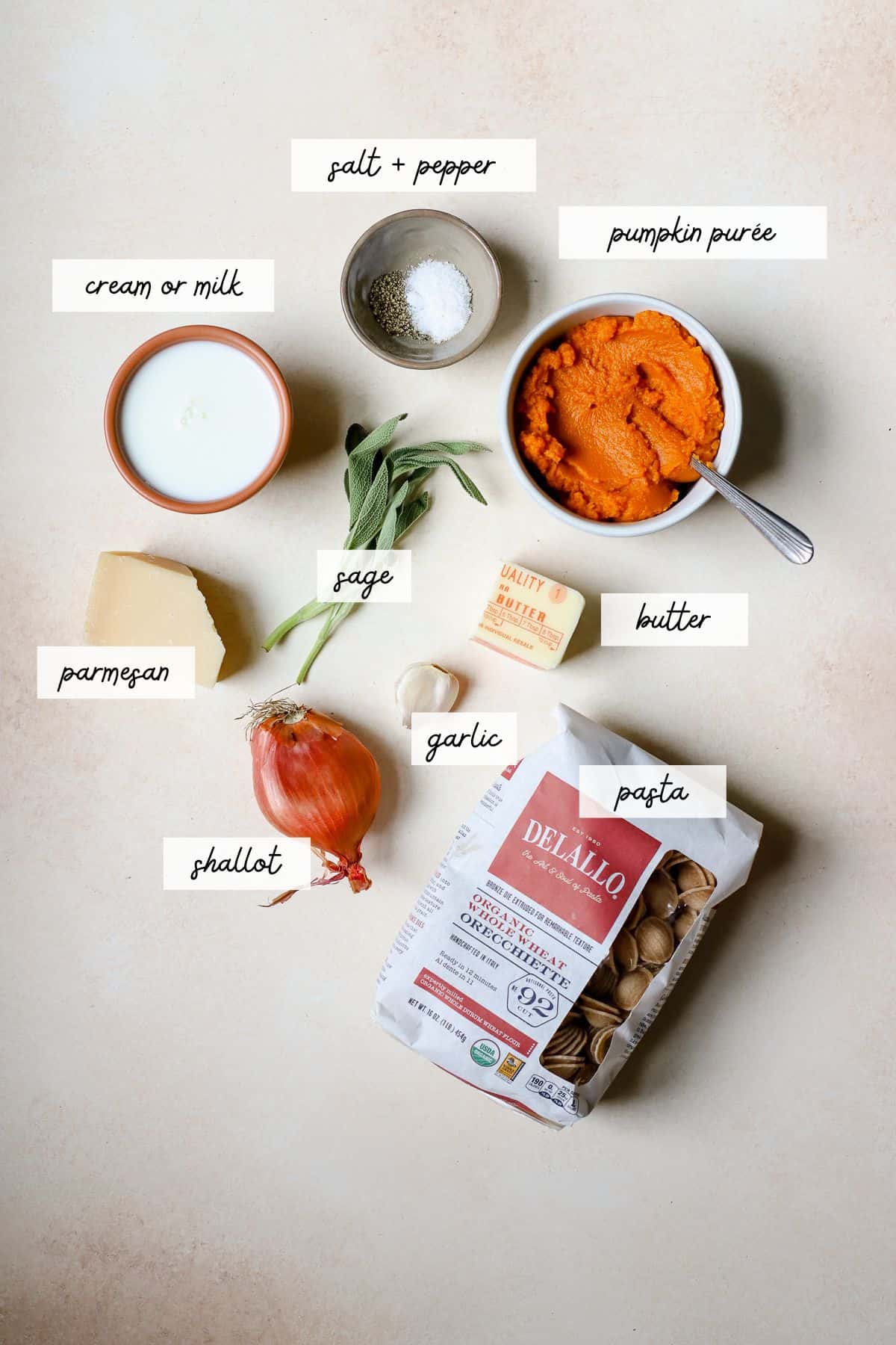 Ingredients for pumpkin pasta including milk or cream, salt, pepper, pumpkin, sage, parmesan, shallot, garlic, butter, and pasta.