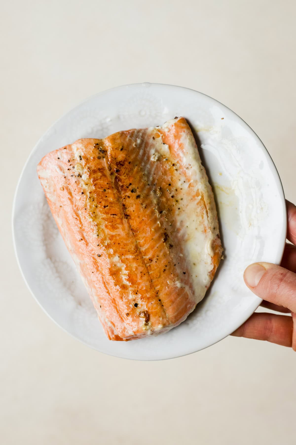 Seared salmon on small white plate.