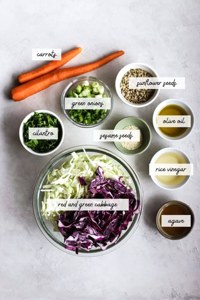 Ingredients needed to make a healthy coleslaw recipe.