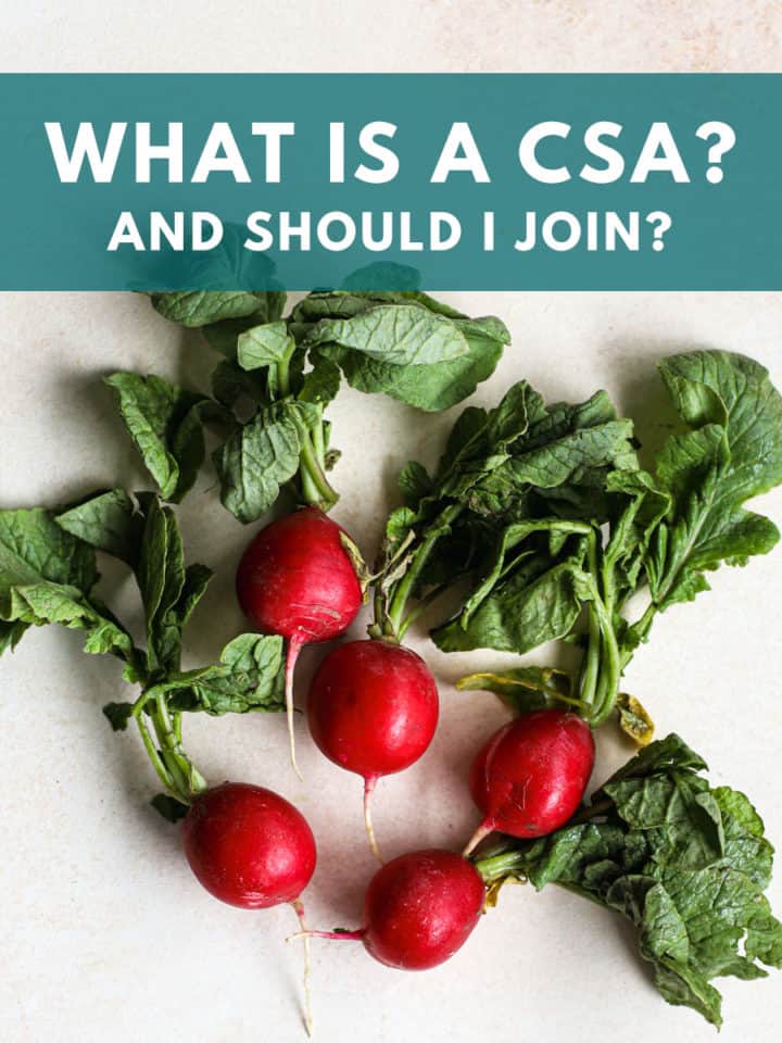 Fresh radishes with text overlay that says "What is a CSA? and should I join?"