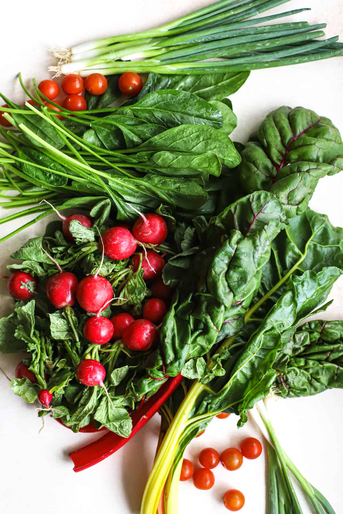 Radishes, chard, spinach, cherry tomatoes, and green onions on light beige surface to show what a CSA is