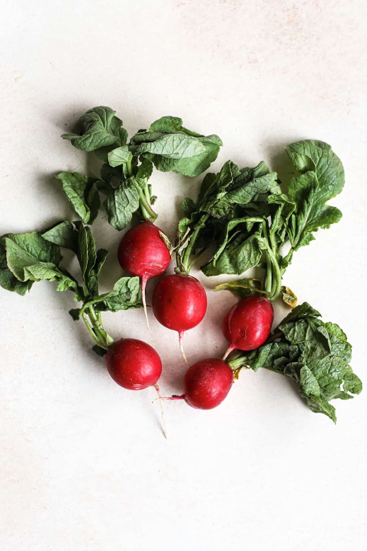 Fresh radishes on light beige surface, to show what a CSA is and might include