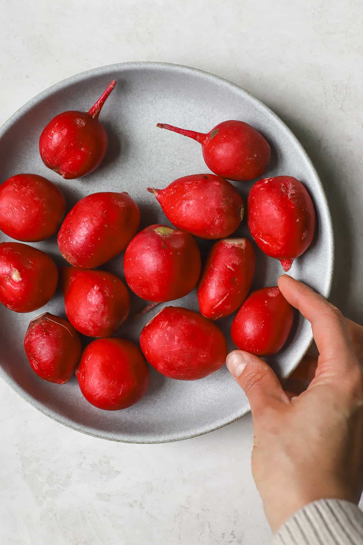Fresh red radishes in blue bowl with hand picking one up.