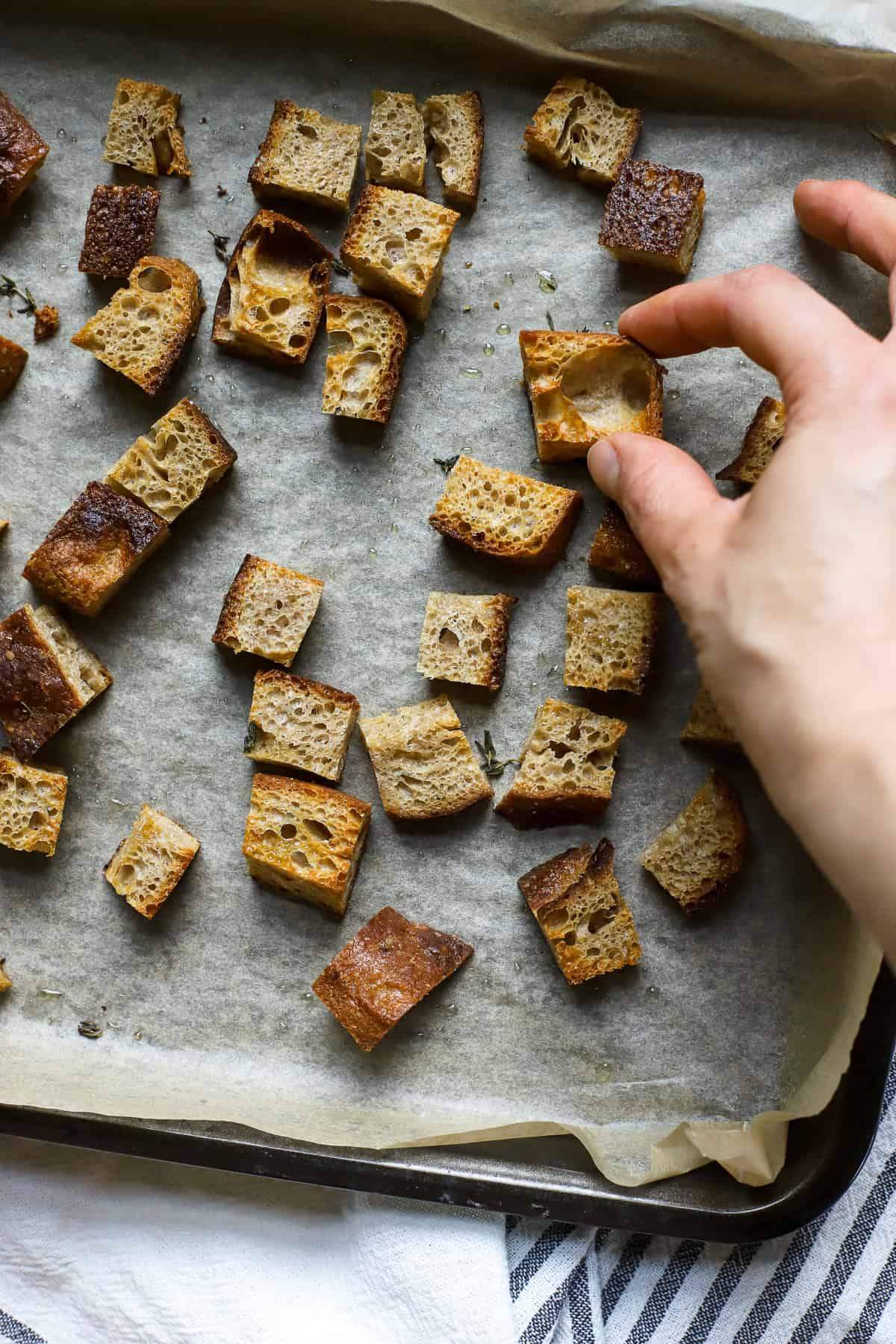 Homemade sourdough croutons on sheet pan.