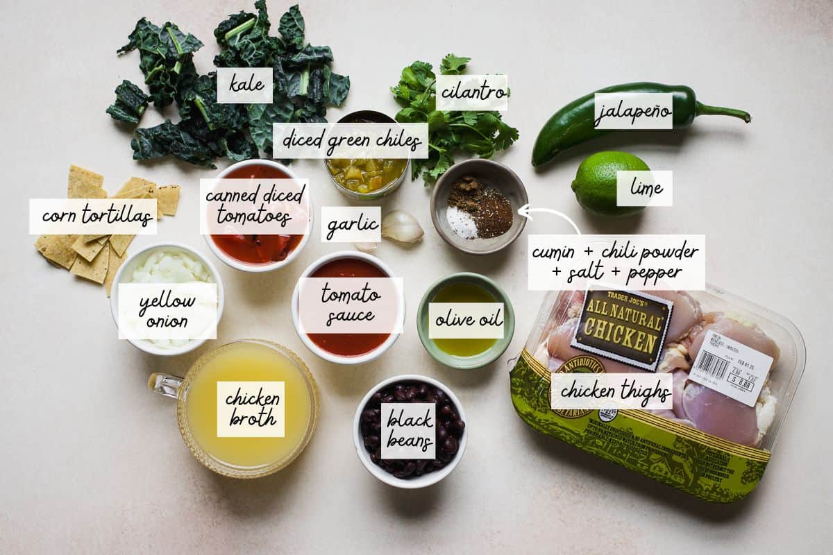 Ingredients needed to make chicken tortilla soup.