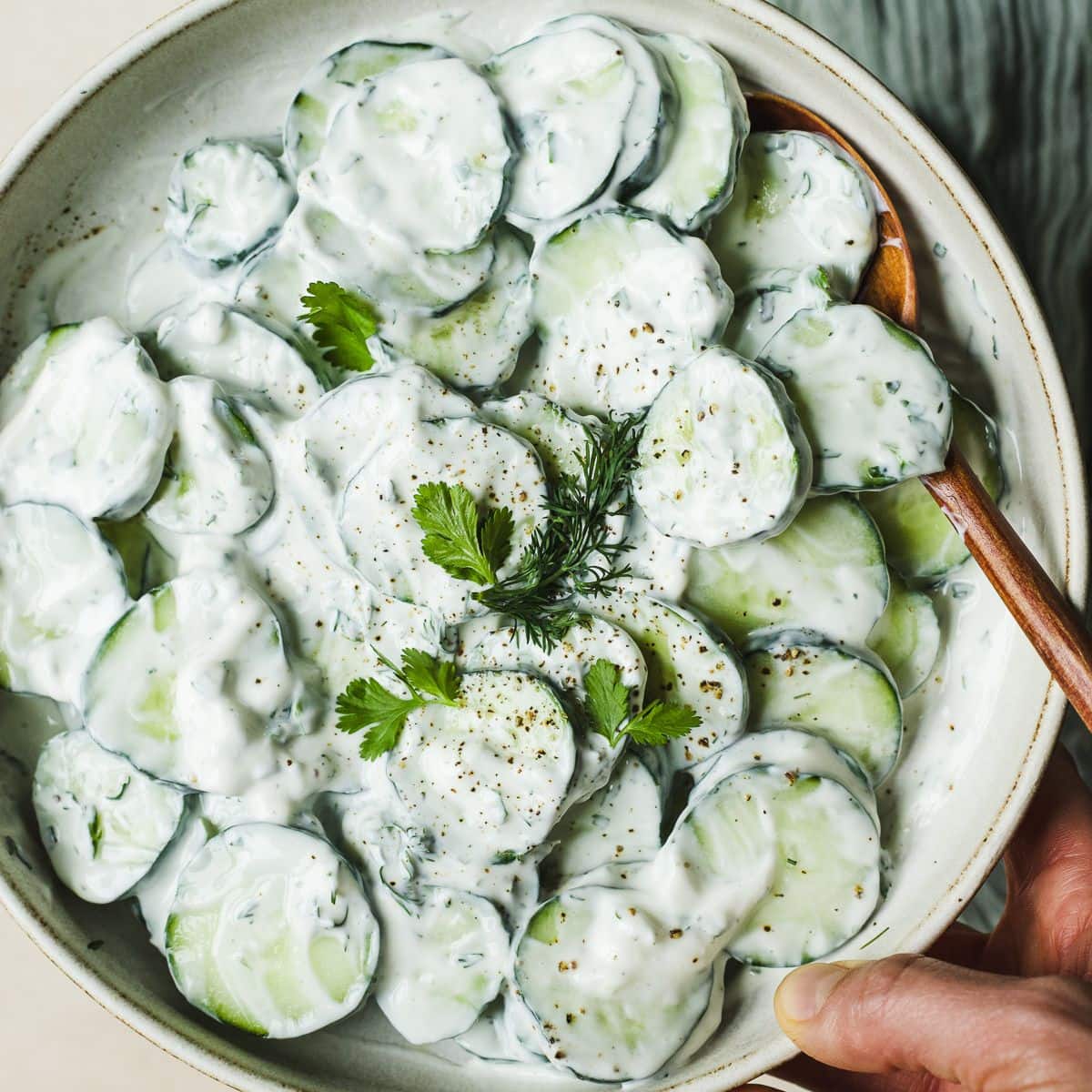 sour cream dill dressing for cucumbers Quick Creamy Cucumber Salad with Herbed Yogurt Sauce All Men's Coats aromatic dill hartley lace up sequin Onion salad Kid Size:100-3Y