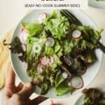 Simple leafy lettuce salad on plate.