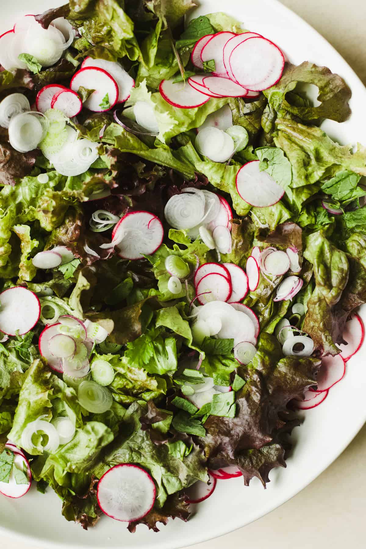Red leaf lettuce, thinly sliced radishes, and sliced spring onions in bowl.