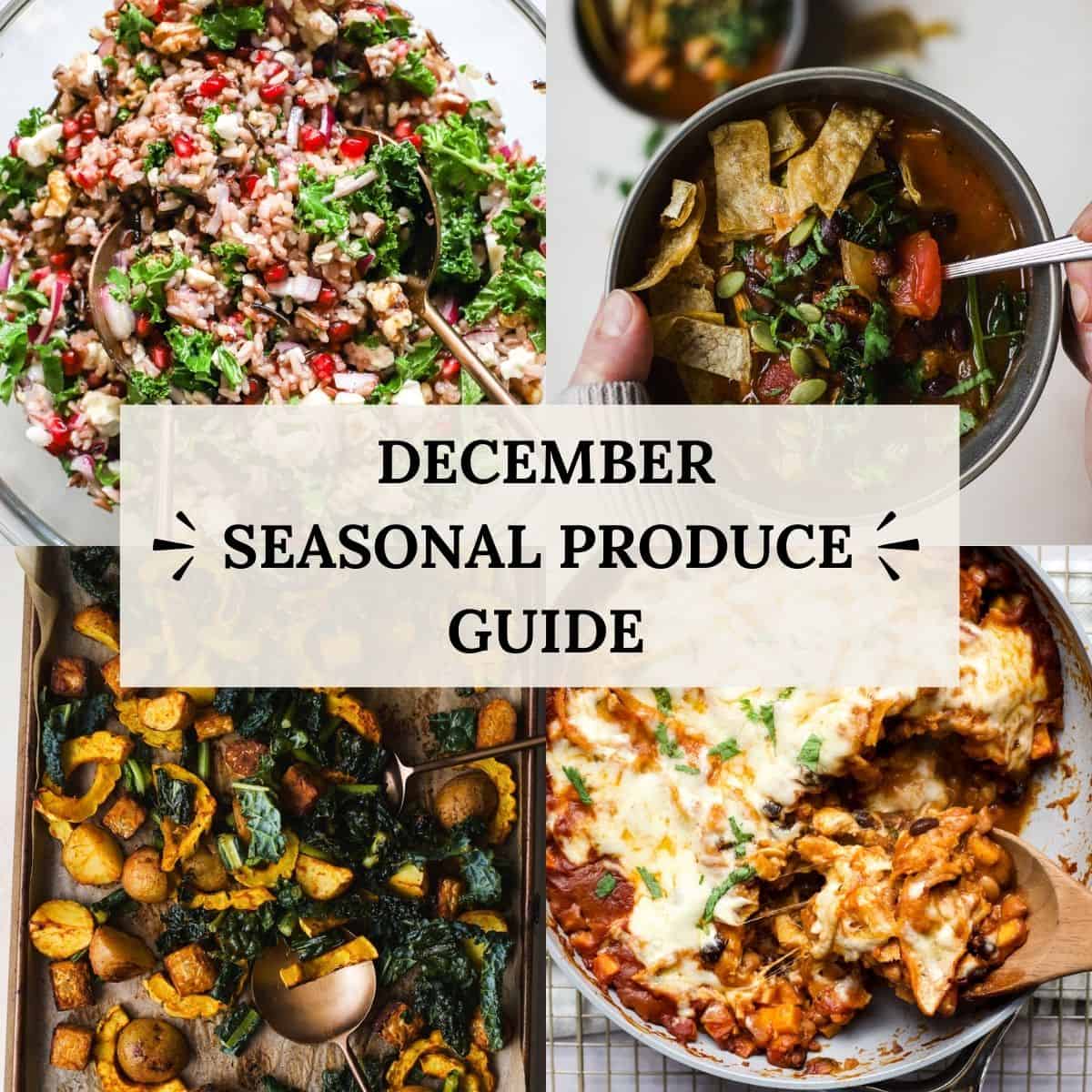 Seasonal Tutorial Seasonal Recipes to Make in December – Roots and Radishes