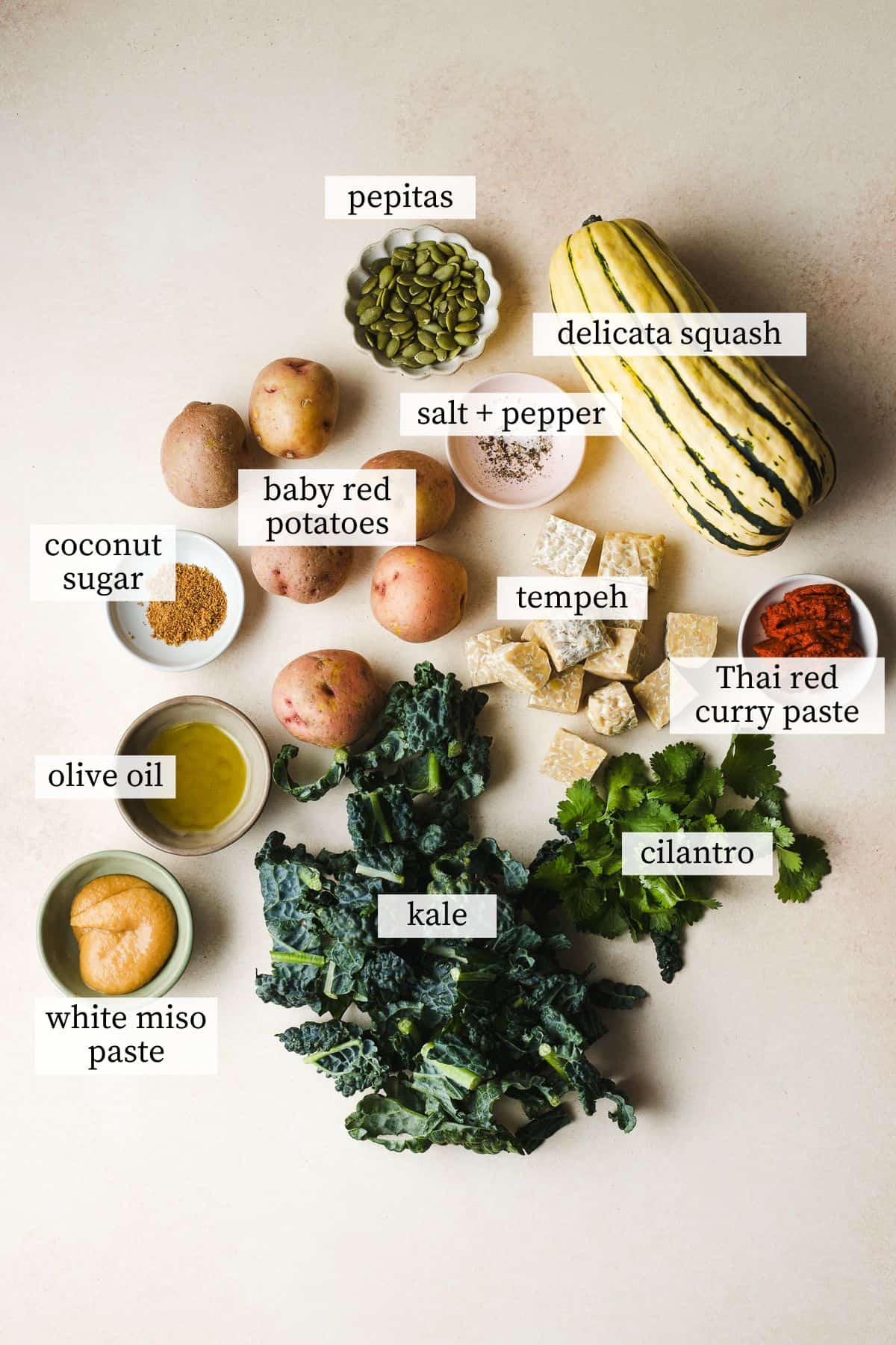 Miso curry delicata squash and tempeh ingredients.