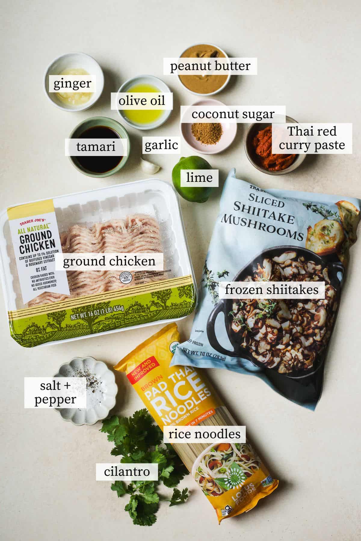 Ingredients needed to make Thai red curry noodles with ground chicken.