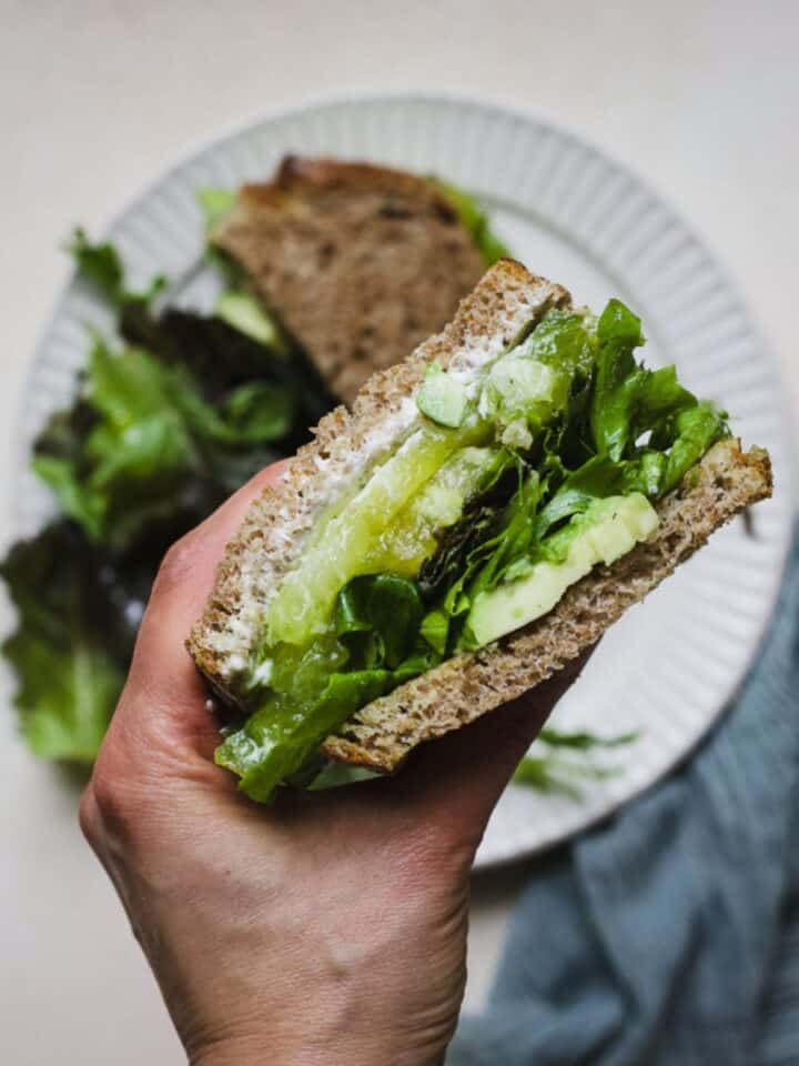 Hand holding tomato and whipped feta sandwich.